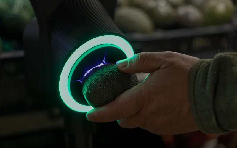 Kaufland tests AvoScanner: less waste, more confidence on the shelf