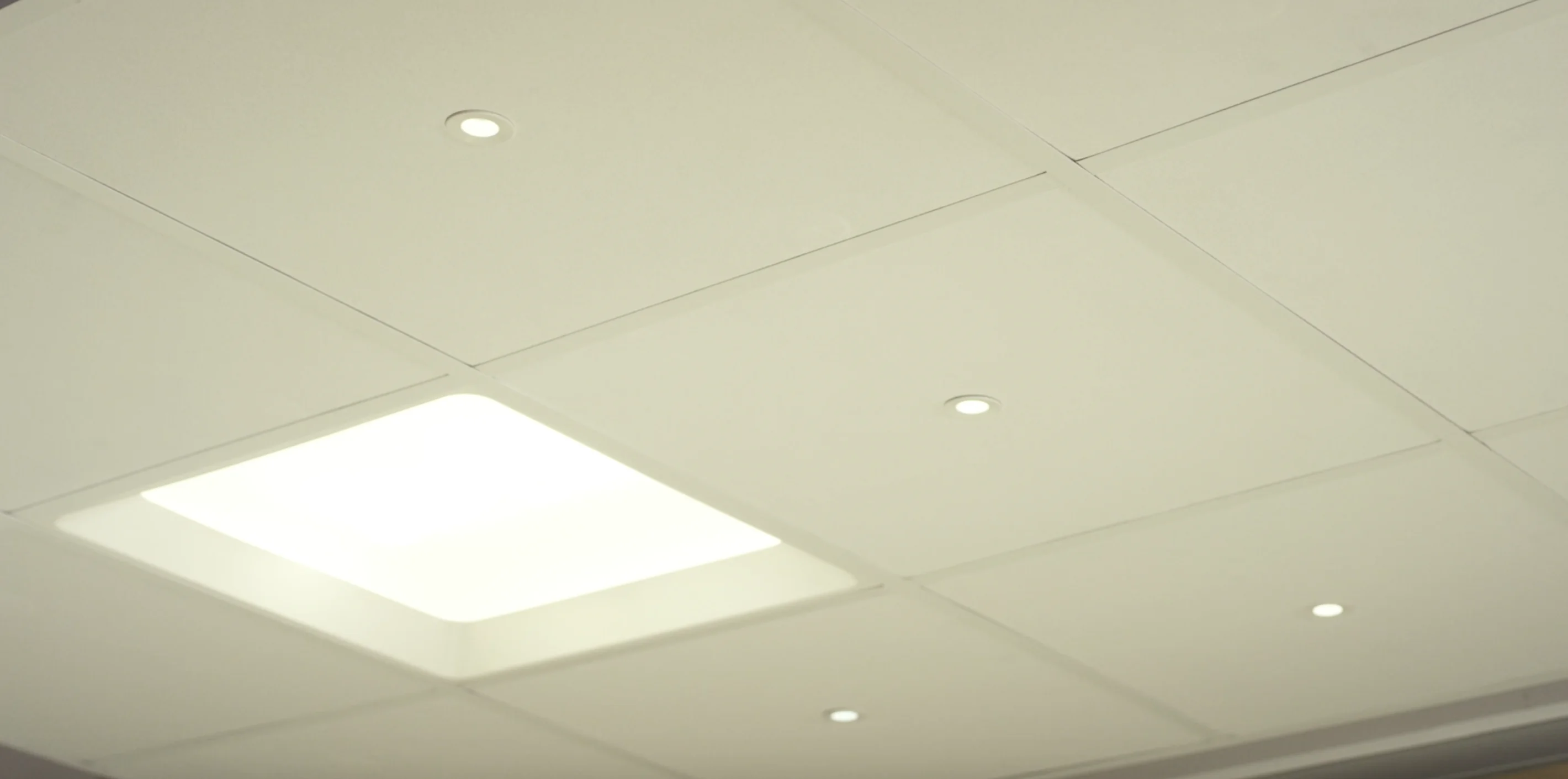 Sunlight in Buildings