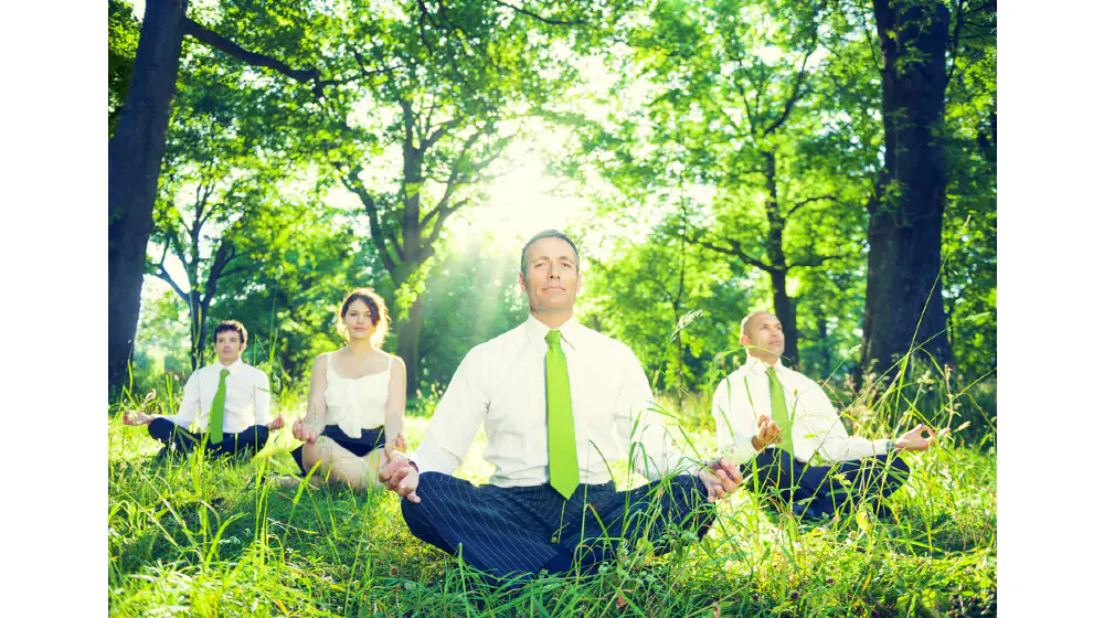 Cum amenajezi un spațiu de lucru sănătos pentru angajați