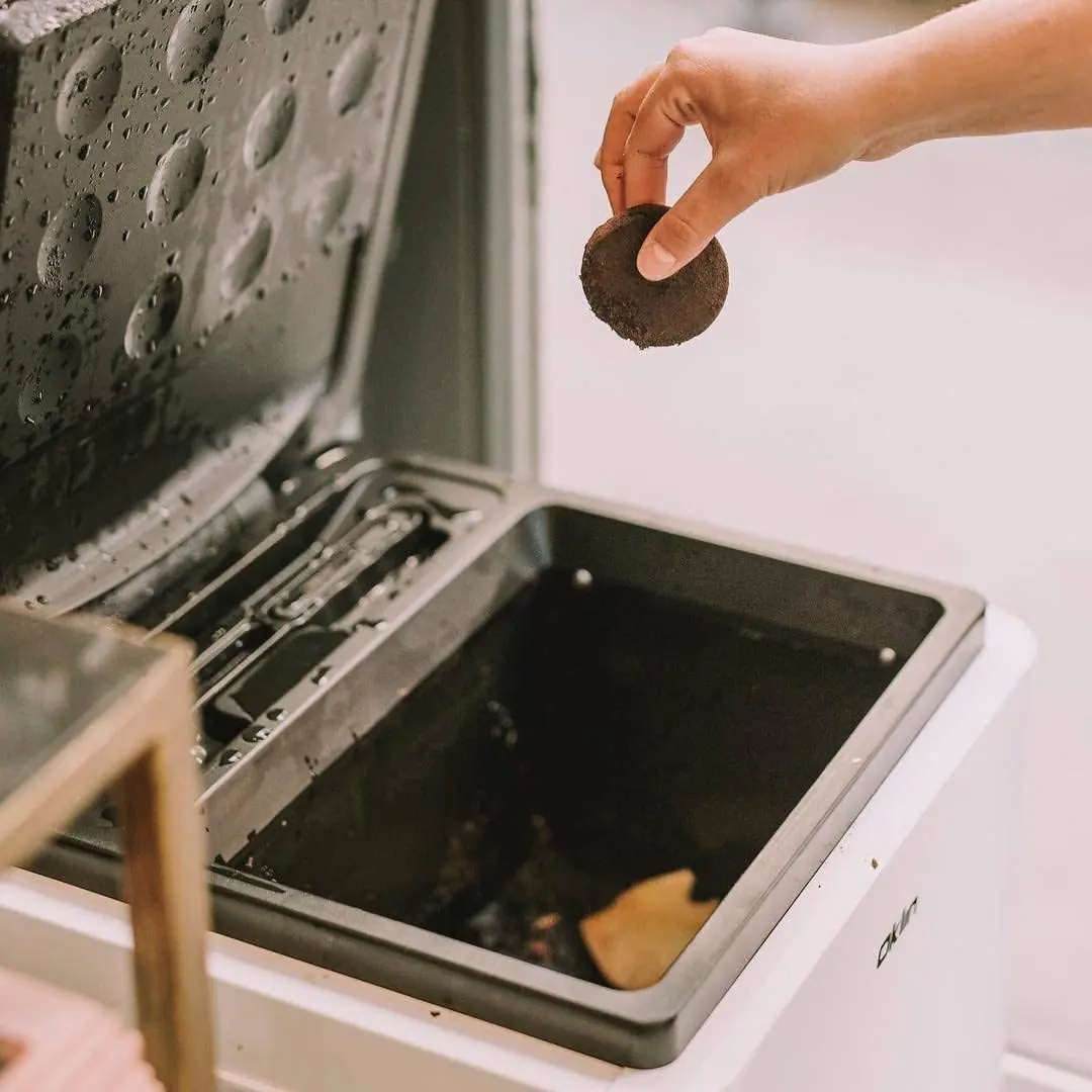 Ghid de compostare - care sunt pașii pentru o compostare corectă? 